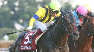 2021ブリーダーズカップ　日本馬の近況（11月4日）