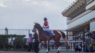【武豊日記】いつかはこの馬で重賞を獲れるんじゃないかな