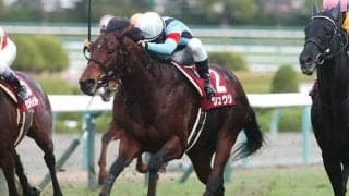 【JRA】2016年阪神Cなどを制したシュウジがアロースタッドで種牡馬入りへ