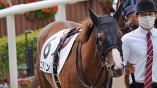 【本日の注目ポイント】京王杯2歳SとファンタジーS、松岡Jと北村宏Jの復帰など