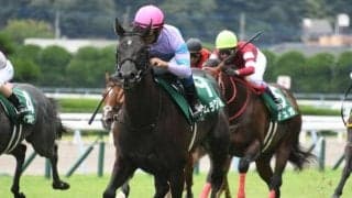 【ファンタジーS予想】波乱も期待できる阪神JFの前哨戦