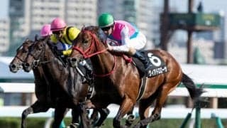 【京王杯2歳S予想】キャリアの浅い馬同士のレースだからこそ距離適性を重視