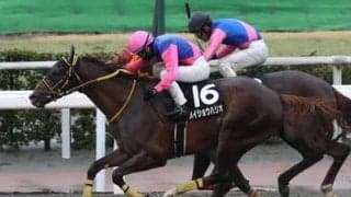 みやこＳは人気馬に不安データあり。穴党記者推奨の伏兵２頭が好配当を運んでくる