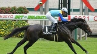 アルゼンチン共和国杯は血統ロマンを追う。飛躍に期待の「ニューヒーロー候補」は？