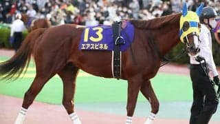 【武蔵野S想定】エアスピネル、ダイワキャグニー、サトノアーサーなど芝重賞ウイナーが多数