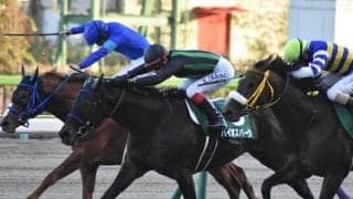 【福島記念想定】重賞3勝馬コントラチェック、前年覇者バイオスパークなど21頭