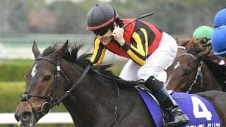 【マイルCS想定】グランアレグリアはルメール騎手、シュネルマイスターは横山武史騎手