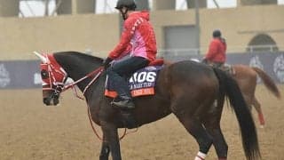 日本馬6頭が出走＆JRA馬券も発売！日本時間7日朝の米ブリーダーズカップまとめ