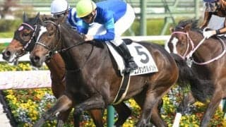 【阪神5R新馬戦結果】英国産馬エンタングルメントが人気に応えてデビュー勝ち