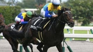 【アルゼンチン共和国杯予想】この条件なら「相手には必ず入れて欲しい1頭」とは？