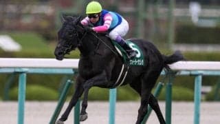 【ファンタジーS】シルバーステート産駒 ウォーターナビレラが無傷の3連勝