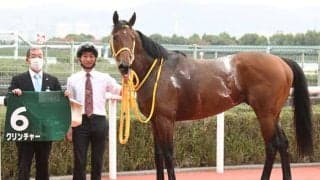 【みやこS前日オッズ】クリンチャーが3.3倍で1番人気、メイショウムラクモが続く