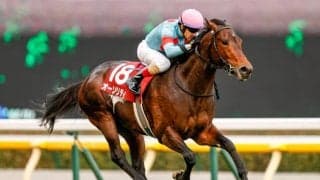 【アルゼンチン共和国杯前日オッズ】オーソリティが2.8倍で1番人気