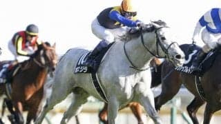 【アルゼンチン共和国杯予想】ノーザンファーム生産馬が5連勝中！ 今年は大挙9頭が参戦/JRAレース展望