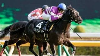 【万哲の馬場予報】土曜より差しやすい馬場になる可能性が高い