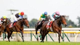 【WIN5予想】アルゼンチン共和国杯は年明けに勝ち切っている馬が中心