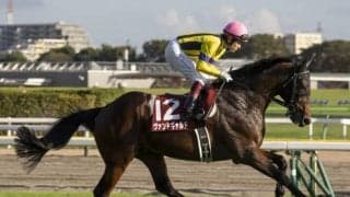 【本日の注目ポイント】アルゼンチン共和国杯とみやこS、日本馬6頭参戦の米BCにも注目