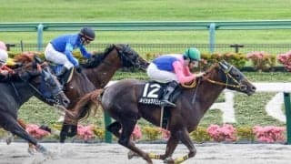 【みやこS予想】実績馬有利なチャンピオンズCのステップレース