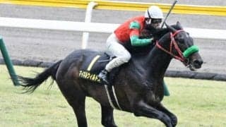 【アルゼンチン共和国杯予想】1番人気とトップハンデ馬の不振が目立つハンデ重賞