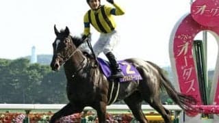 世界的な血統馬スタニングスター。厩舎スタッフも「素材のよさを感じる」とホレボレ