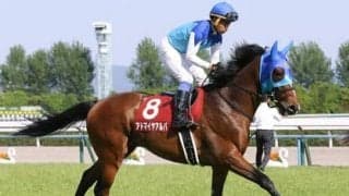 アルゼンチン共和国杯は「母をたずねて三千里」をヒントに浮かんだ激アツの穴馬２頭で勝負