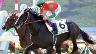 【アルゼンチン共和国杯予想】M.デムーロで「回収率100%超え」!? AIが選んだのは相性抜群の鉄板コンビ