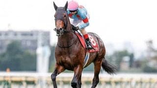 【アルゼンチン共和国杯・馬体重】オーソリティは518kg(+12)、アンティシペイトは502kg(0)