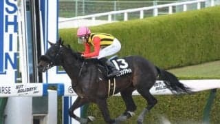 【もちの木賞結果】リーチザクラウン産駒クラウンプライドが初戦に続いて完勝