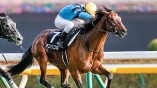 【百日草特別結果】オニャンコポンが菅原明良騎手とのコンビで無傷2連勝