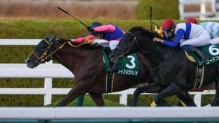 【みやこS】メイショウハリオが重賞初制覇