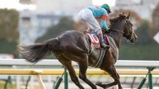 【勝負の分かれ目 アルゼンチン共和国杯】ルメール騎手の完璧なエスコートでオーソリティが連覇