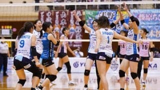 Vリーグの試合結果一覧（V2 男女・11月7日）