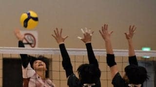 春高バレー　千葉は男子・習志野、女子は敬愛学園が全国大会出場