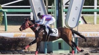 【BCダートマイル】福永「3コーナーあたりから苦しくなった」日本勢敗退