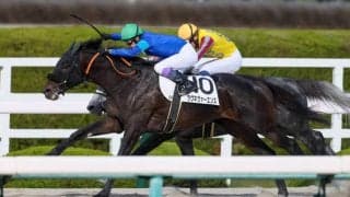 【阪神8R】武豊 ラヴネヴァーエンズが人気に応える