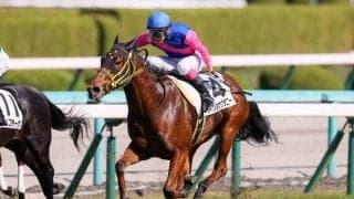 【新馬/阪神6R】断然人気のメイショウグラニーがデビューV