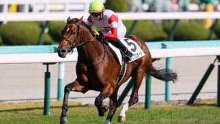 【新馬/阪神5R】ディープ産駒 ダノンブリザードがデビューV