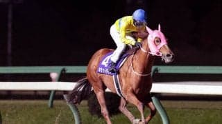 【盛岡・絆C】キラットダイヤがまたもや圧勝！短距離重賞4連勝の快挙を達成