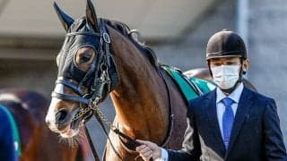 GIエリザベス女王杯などJRAは重賞が5レース/今週の競馬界の見どころ