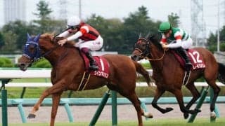 【エリザベス女王杯登録馬】ウインマリリンなど18頭