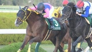 【みやこS】売上は47億4486万8100円で昨年からおよそ6.6億円の増加