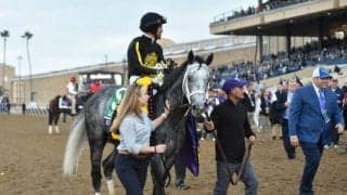 ブリーダーズC 2日間開催となって以降の売上新記録を樹立