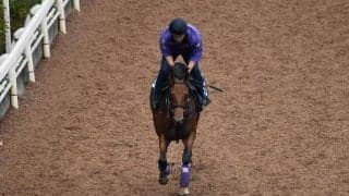 2億4200万円のディープ産駒 アーティットがC.ルメール騎手でデビュー/関西馬メイクデビュー情報