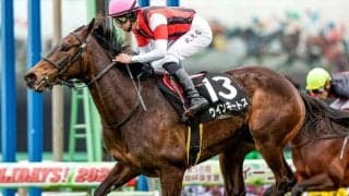 【エリザベス女王杯予想】先週は4人気2着のマイネルウィルトス指名！ 今週AIが本命視する「妙味ある馬」とは