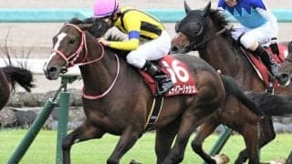 【福島記念ハンデ確定】ステイフーリッシュは57.5kg、アラタは56.0kg