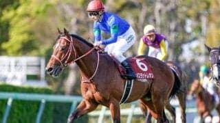 【オーロCハンデ確定】バスラットレオンは55.0kg、ダディーズビビッドは54.0kg