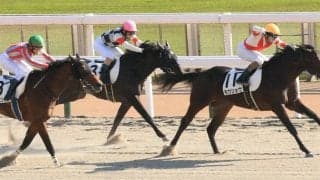 【新馬/東京6R】断然人気のモウショウがデビューV