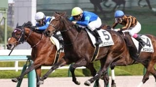 【新馬/阪神5R】エンタングルメントがデビューV