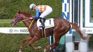 【新馬/阪神6R】テーオードレフォンが人気に応える