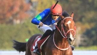 【京王杯2歳S】坂井「自信を持って正攻法の競馬をした」キングエルメスが重賞初制覇